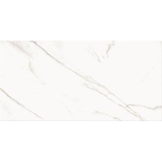 PS804 White Glossy 29,8x59,8