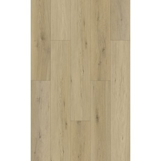 Sapin Haya 18.2x122