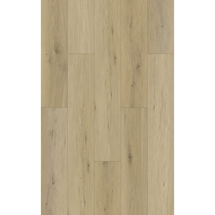 Sapin Haya 18.2x122