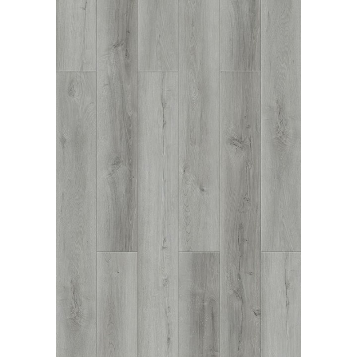 Arancio Light Grey 18.2x122