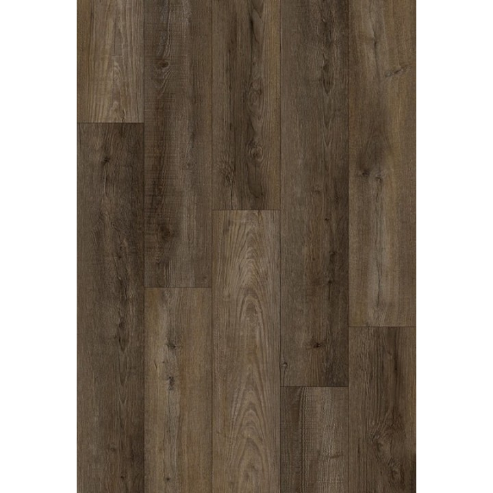 Carrubo Coffee 18.2x122