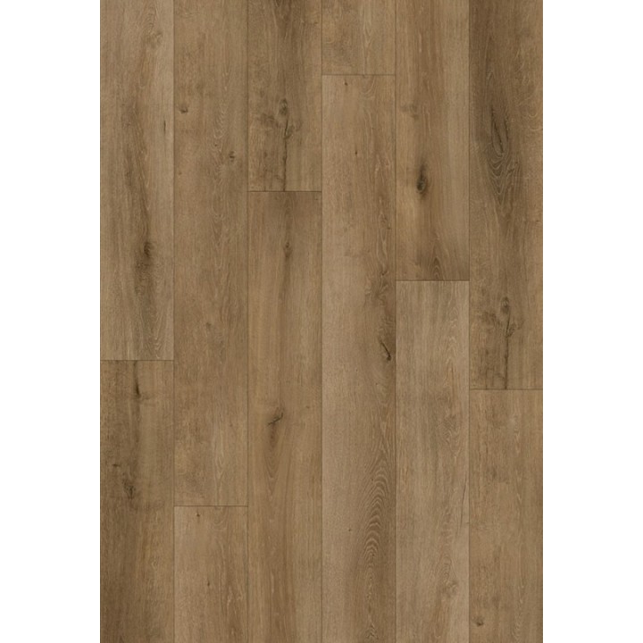 Leccio Beige 18.2x122