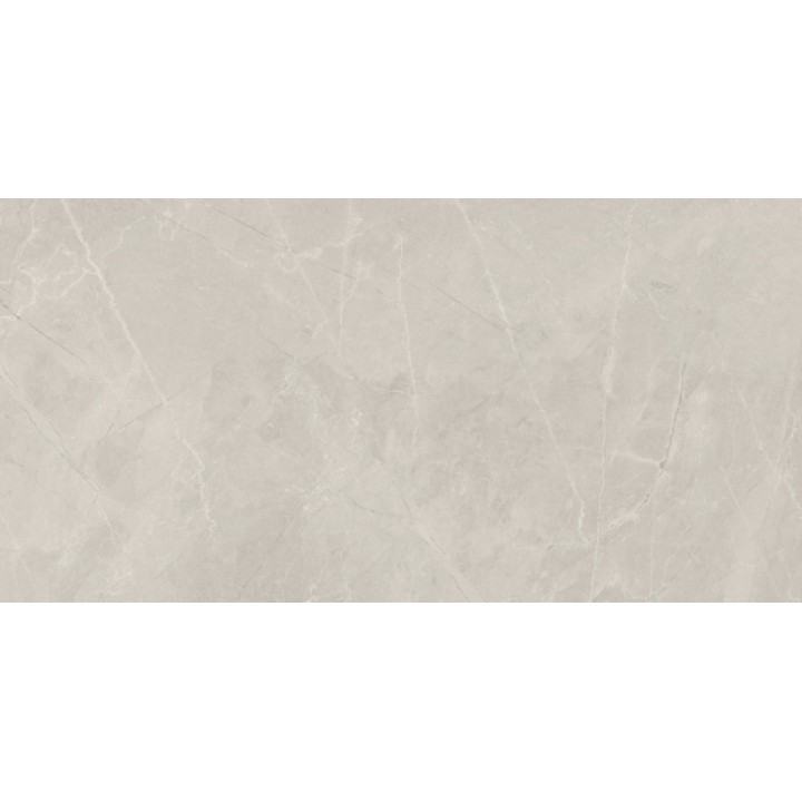 Bayona Silver Natural 60x120