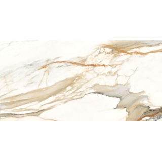 Calacatta gold 60x120