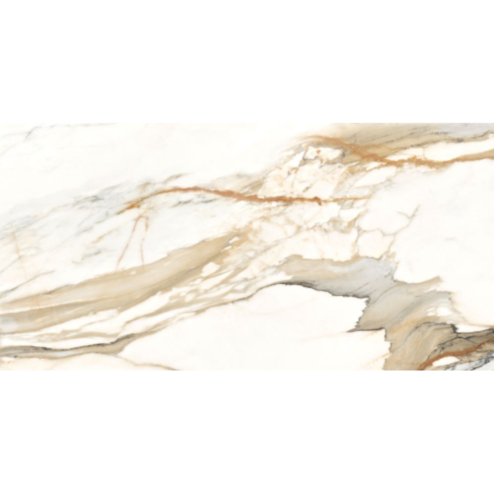 Calacatta gold 60x120