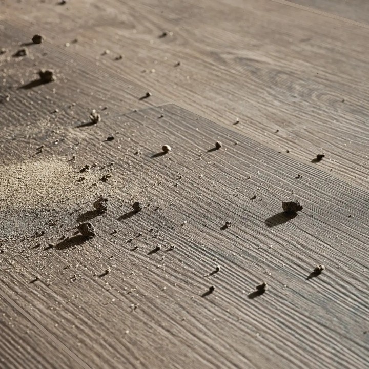 VOX Rigio Oak Lunar