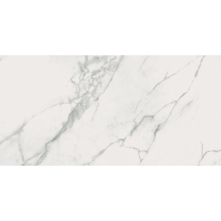 Calacatta Marble White Polished 59.8x119.8