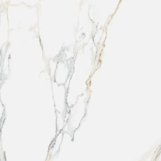 Atlantis Gold Shiny Rect 59.5x59.5
