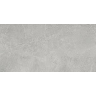 60x120cm /BAYONA SILVER NATURAL