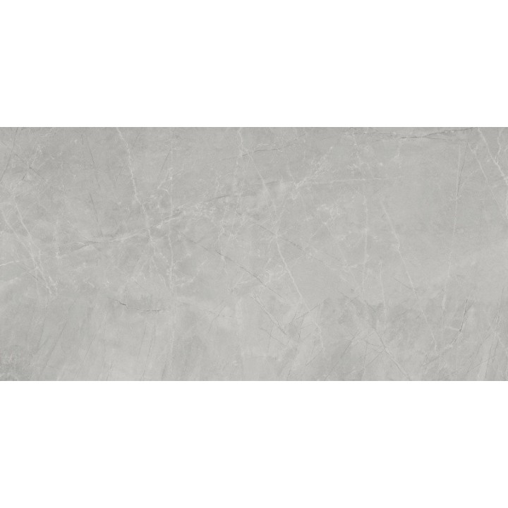 60x120cm /BAYONA SILVER NATURAL