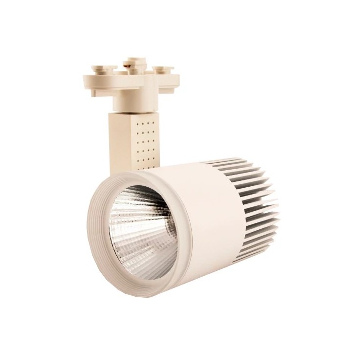 LED siinivalgusti 1F, 3 juhet, 30W, 4000K