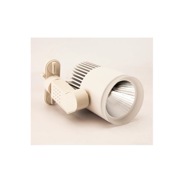 LED siinivalgusti 1F, 3 juhet, 30W, 3500K