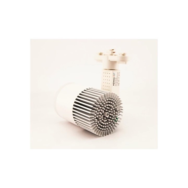 LED siinivalgusti 1F, 3 juhet, 30W, 3500K