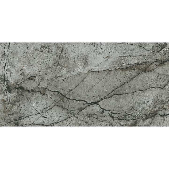 Essential Grey 59.8x119.8