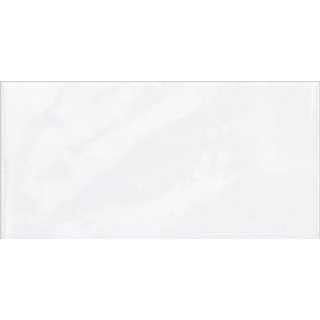 Vitta 10 Blanco 10x20