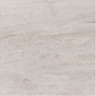 Savana Gris 60.8x60.8