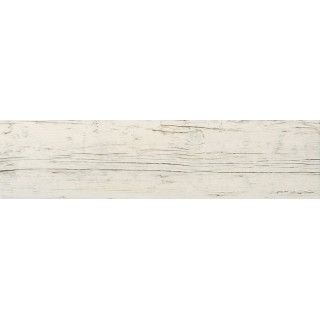 Delice White STR 14.8x58.8