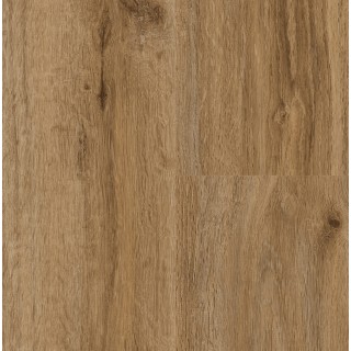 P1006 Jackon Oak