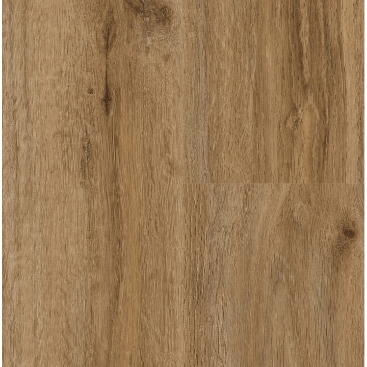 P1006 Jackon Oak