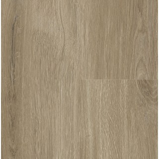 P6002 York Oak