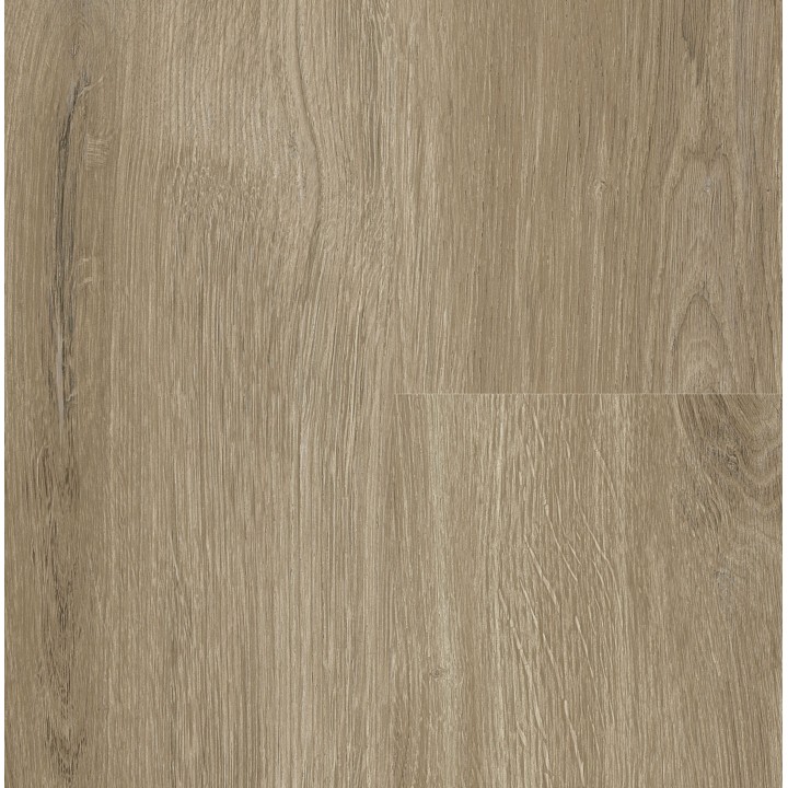 P6002 York Oak