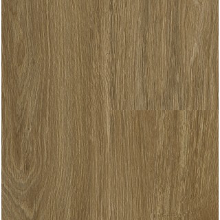 P6003 Calm Oak