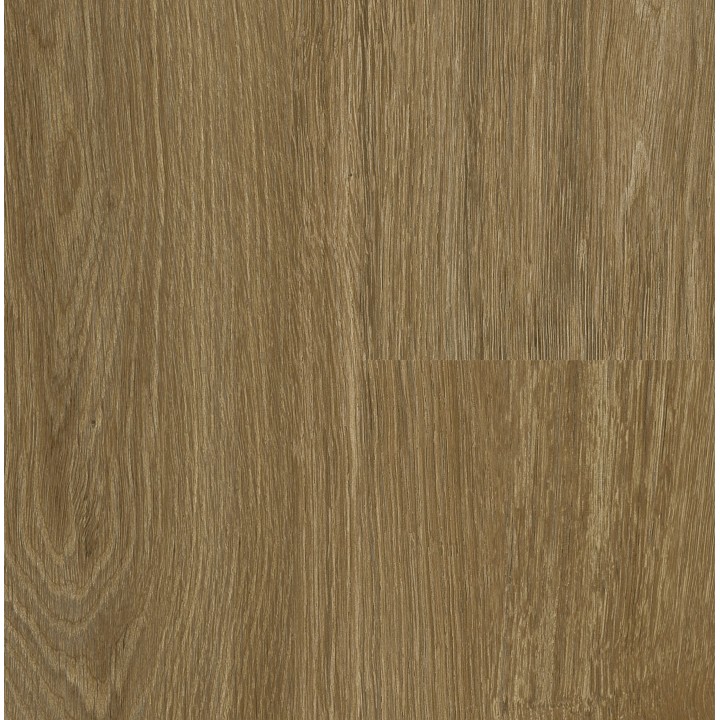P6003 Calm Oak