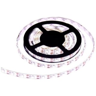 LED-riba 5050, 6000K, IP54, 7,2W, 5m
