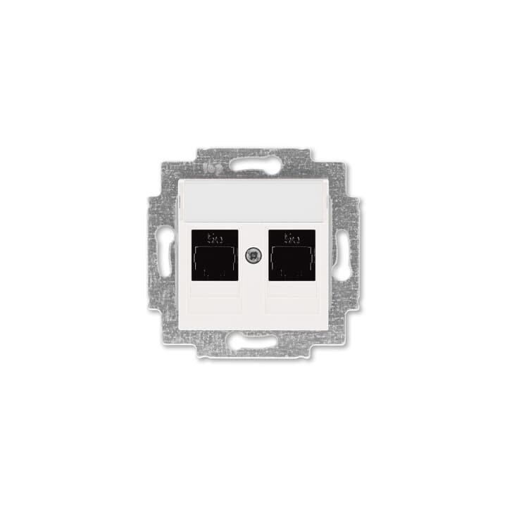 ABB Levit arvutipesa 2xRJ-45 sisud (Cat.5)+kate