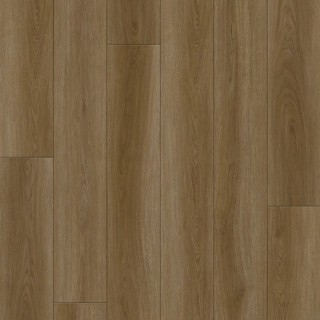 Betulla Roble 18.2x122