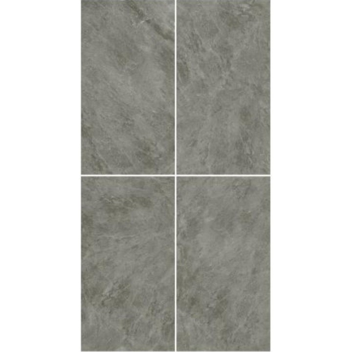 Wild Stone 120x60 matt