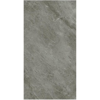 Wild Stone 120x60 matt