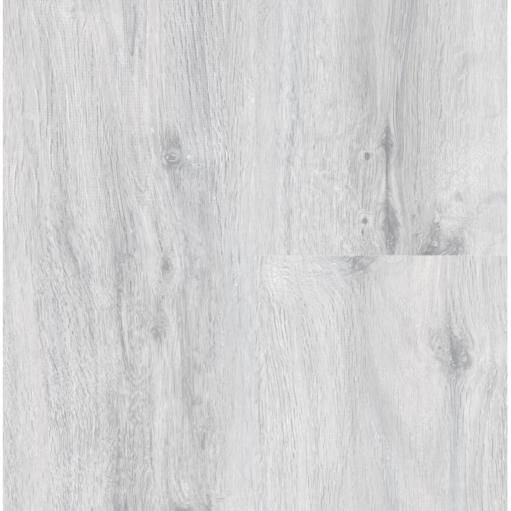 P1007 Ice Oak