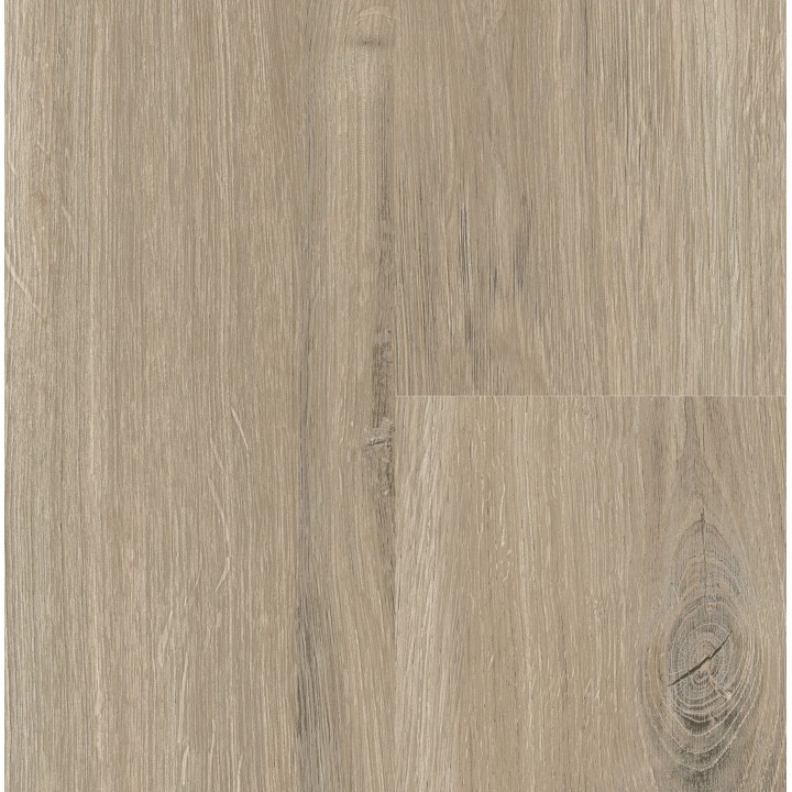 P6001 Tuscan Oak