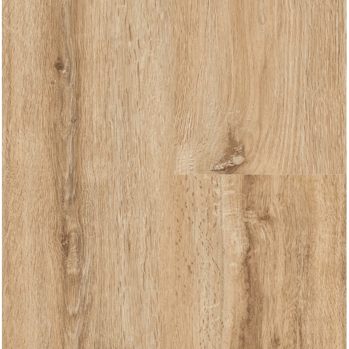 P1003 Vail Oak